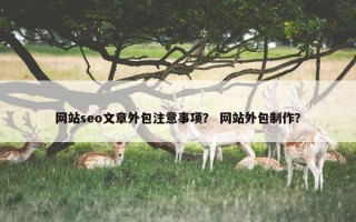网站seo文章外包注意事项？ 网站外包制作？