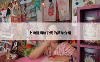 上海狸网络公司的简单介绍