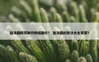 甜汤圆网页制作教程图片？ 甜汤圆的做法大全家常？