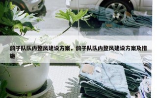 鸽子队队内整风建设方案，鸽子队队内整风建设方案及措施