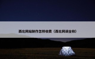 西北网站制作怎样收费（西北网调全称）