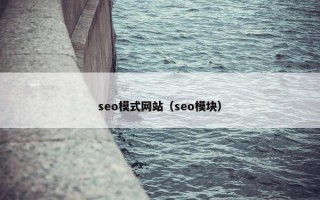 seo模式网站（seo模块）