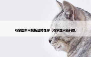 石家庄新网模板建站在哪（石家庄网新科技）