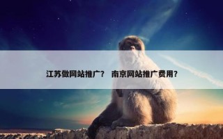 江苏做网站推广？ 南京网站推广费用？