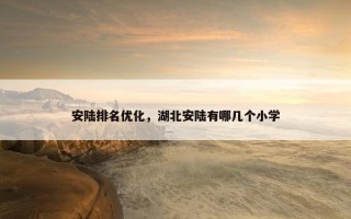 安陆排名优化，湖北安陆有哪几个小学