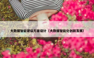 大数据智能建设方案设计（大数据智能化创新发展）