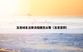 玉龙域名注册流程图怎么看（玉龙官网）