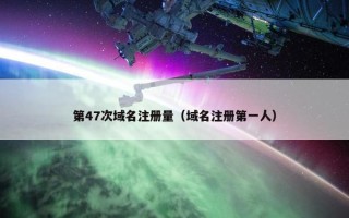 第47次域名注册量（域名注册第一人）