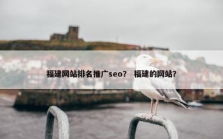 福建网站排名推广seo？ 福建的网站？