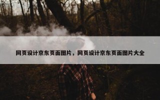 网页设计京东页面图片，网页设计京东页面图片大全