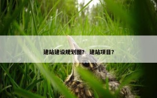 建站建设规划图？ 建站项目？