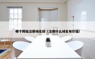 哪个网站注册域名好（注册什么域名有价值）