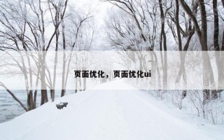 页面优化，页面优化ui