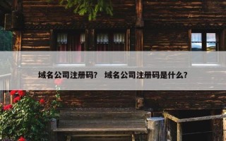 域名公司注册码？ 域名公司注册码是什么？