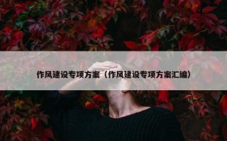 作风建设专项方案（作风建设专项方案汇编）