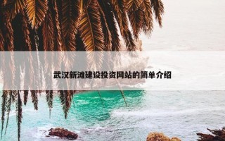 武汉新滩建设投资网站的简单介绍