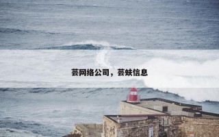 芸网络公司，芸蚨信息