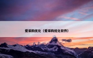 爱采购优化（爱采购优化软件）