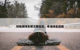 好后缀域名被注册在选，申请域名后缀