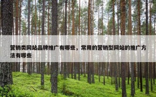 营销类网站品牌推广有哪些，常用的营销型网站的推广方法有哪些