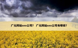 广元网站seo公司？ 广元网站seo公司有哪些？