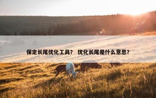 保定长尾优化工具？ 优化长尾是什么意思？