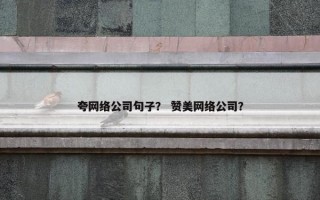 夸网络公司句子？ 赞美网络公司？