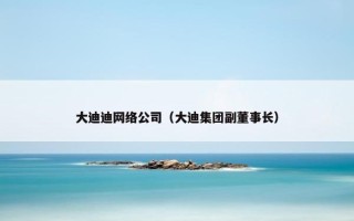 大迪迪网络公司（大迪集团副董事长）