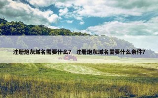 注册炮灰域名需要什么？ 注册炮灰域名需要什么条件？