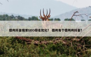 德州抖音搜索SEO排名优化？ 德州有个德州州抖音？