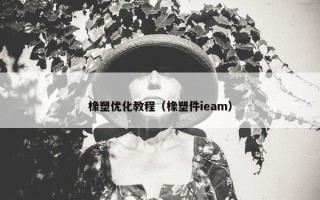 橡塑优化教程（橡塑件ieam）