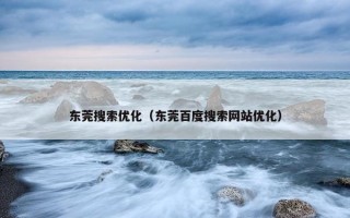 东莞搜索优化（东莞百度搜索网站优化）