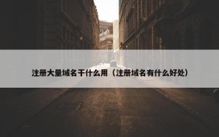注册大量域名干什么用（注册域名有什么好处）