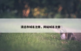 清远市域名注册，网站域名注册
