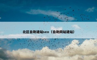 北区自助建站seo（自助网站建站）