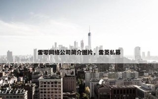 雷零网络公司简介图片，雷菱私募