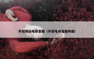 外贸网站电商客服（外贸电商客服待遇）