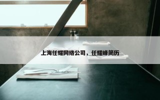 上海任耀网络公司，任耀峰简历