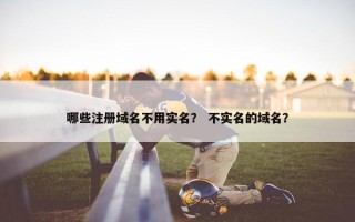 哪些注册域名不用实名？ 不实名的域名？