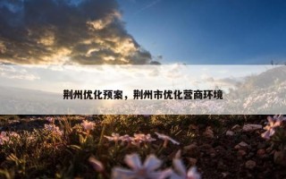 荆州优化预案，荆州市优化营商环境