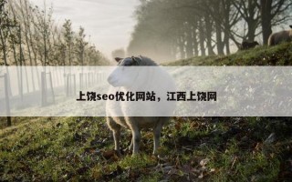上饶seo优化网站，江西上饶网