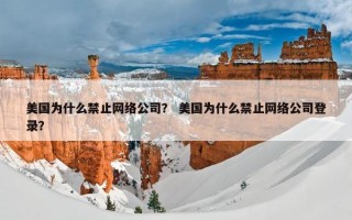 美国为什么禁止网络公司？ 美国为什么禁止网络公司登录？
