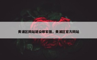 黄浦区网站建设哪家强，黄浦区官方网站
