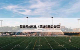 楚雄网站优化（楚雄在线公告栏）