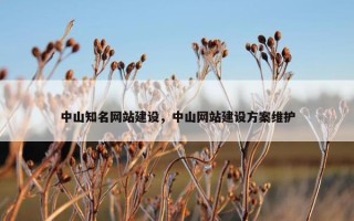 中山知名网站建设，中山网站建设方案维护