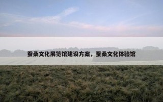 蚕桑文化展览馆建设方案，蚕桑文化体验馆