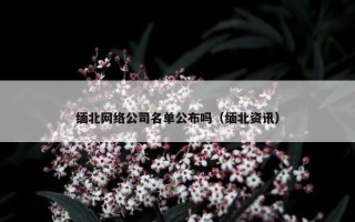 缅北网络公司名单公布吗（缅北资讯）