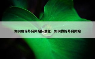 如何确保外贸网站标准化，如何做好外贸网站