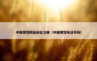中国使馆网站域名注册（中国使馆电话号码）