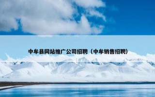 中牟县网站推广公司招聘（中牟销售招聘）